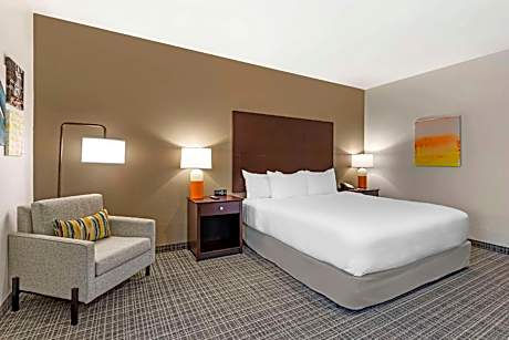 1 King Bed, Nonsmoking Accessible