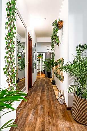 Avenue View Rooms - Guest House