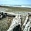 Beachfront Inn