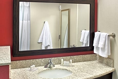 Suite, 1 Bedroom (1 King Bed and 1 Double Sofa Bed)