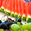 Hotel Ambassador