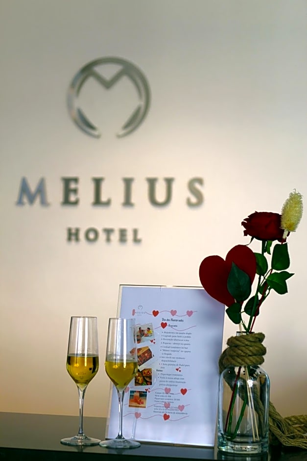 Hotel Melius