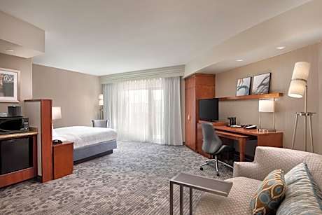 Deluxe King Suite with Sofa Bed