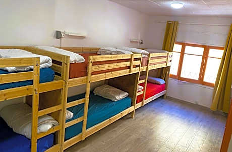Bed in 8-Bed Dormitory Room