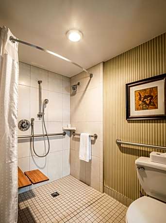 1 Queen Bed, Roll in Shower