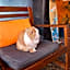 Easkey Hostel