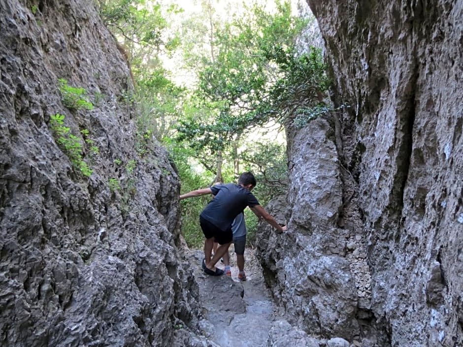 Les Hauts d'Issensac