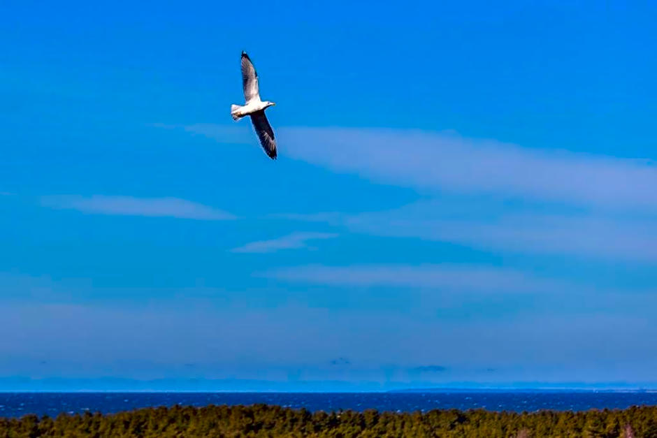 Vila Mažoji apartamentai