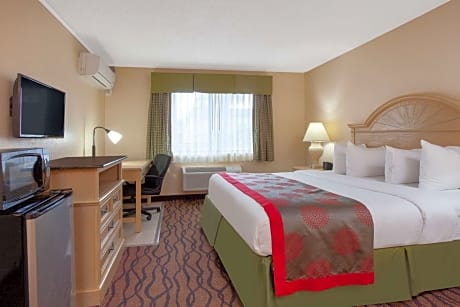 1 King Bed Studio Suite Non-Smoking