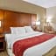 Comfort Suites At Virginia Center Commons