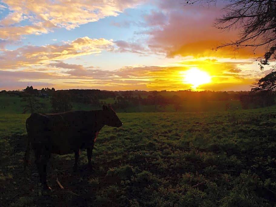 Manderley Park Farmstay B&B