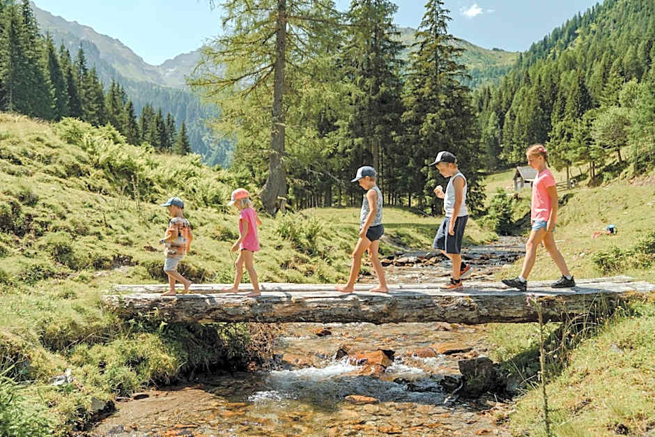 natur- und wellnesshotel Höflehner