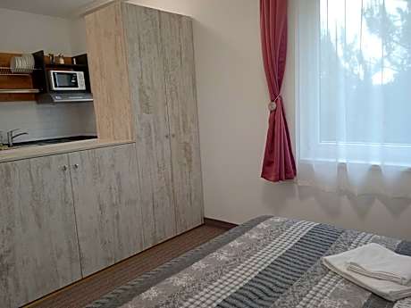 Apartment with Lake View