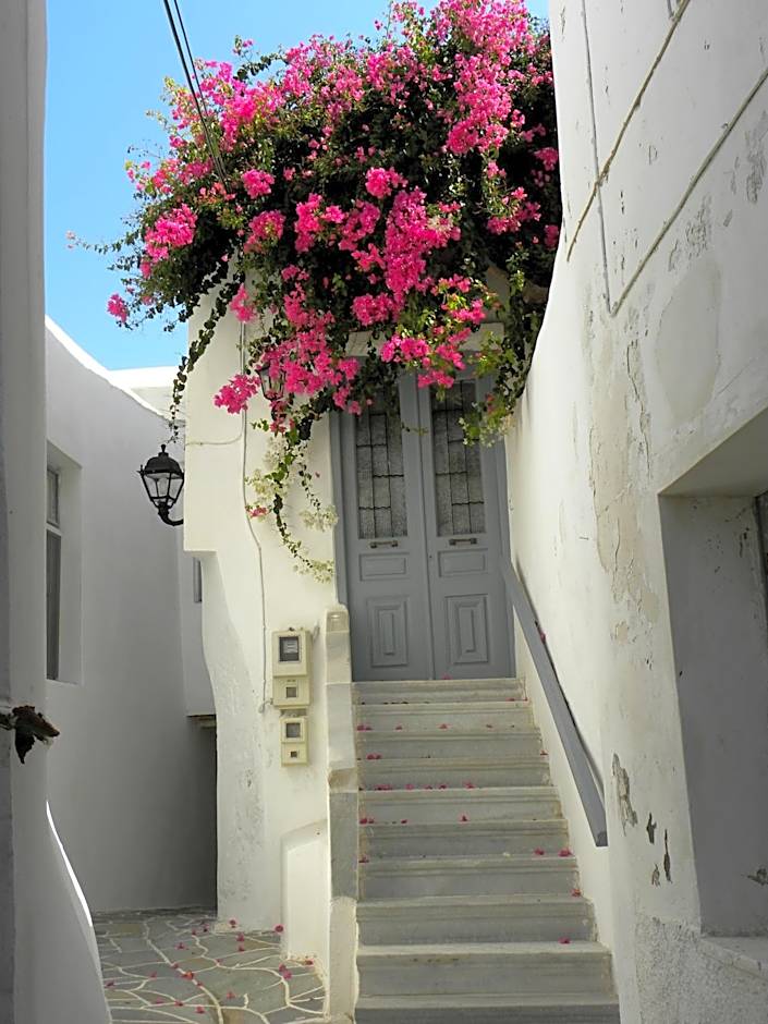 Hotel Anixis