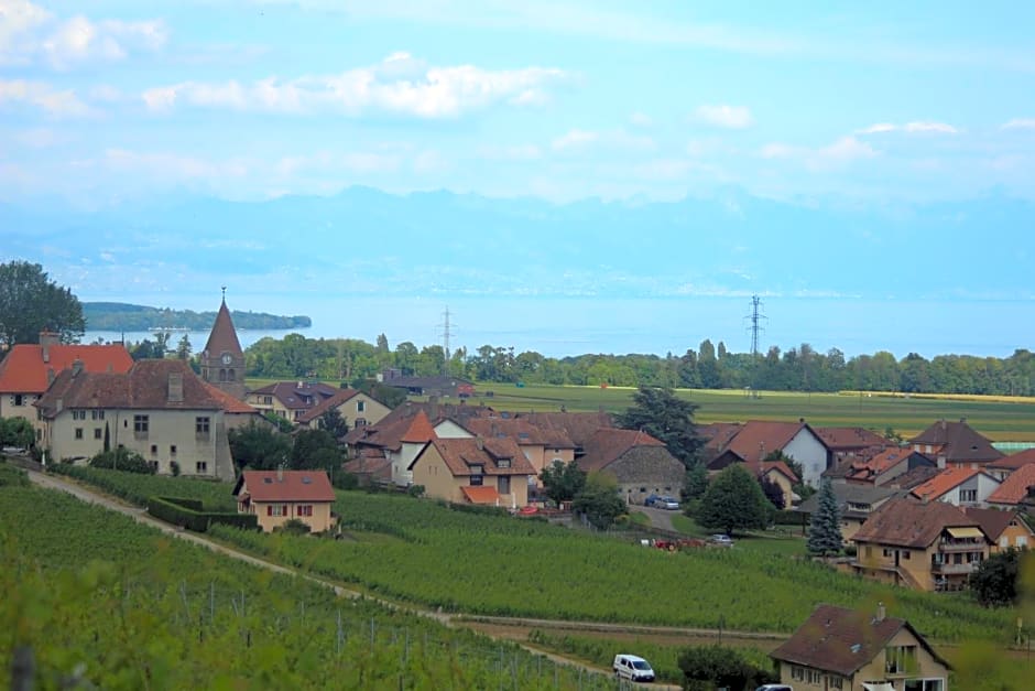 Au cœur du vignoble sur Bursins