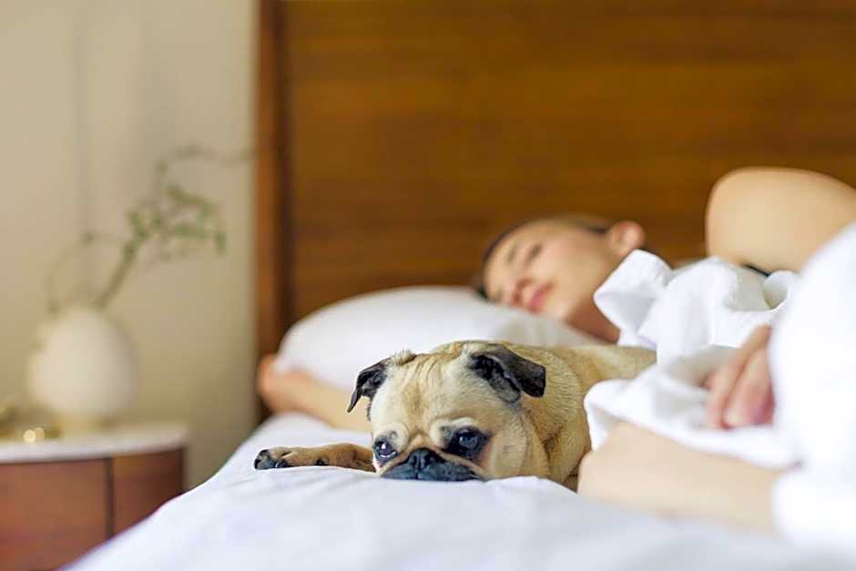 Holiday Inn Express Tucson-Airport By IHG