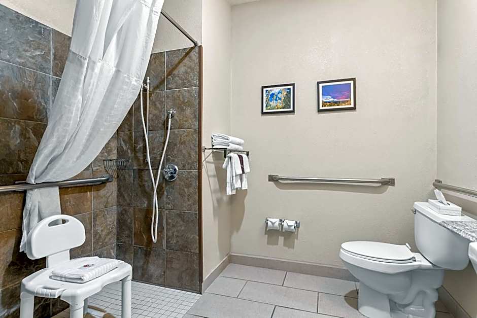 Comfort Inn & Suites Midtown