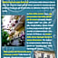 Novecento Suite Hotel