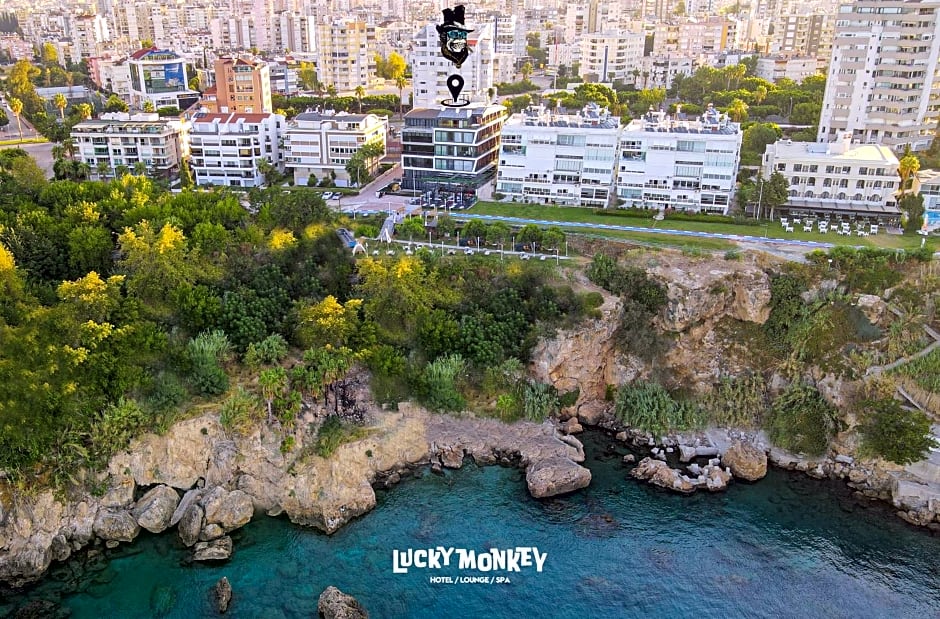 Lucky Monkey Hotel