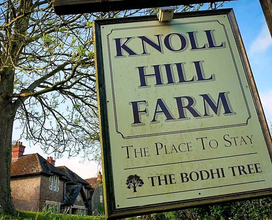 The Place To Stay