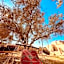 Aghurmi Siwa Ecolodge & Salt Cave
