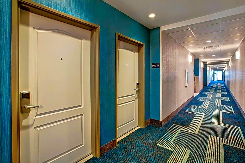 Hampton Inn By Hilton & Suites Borger