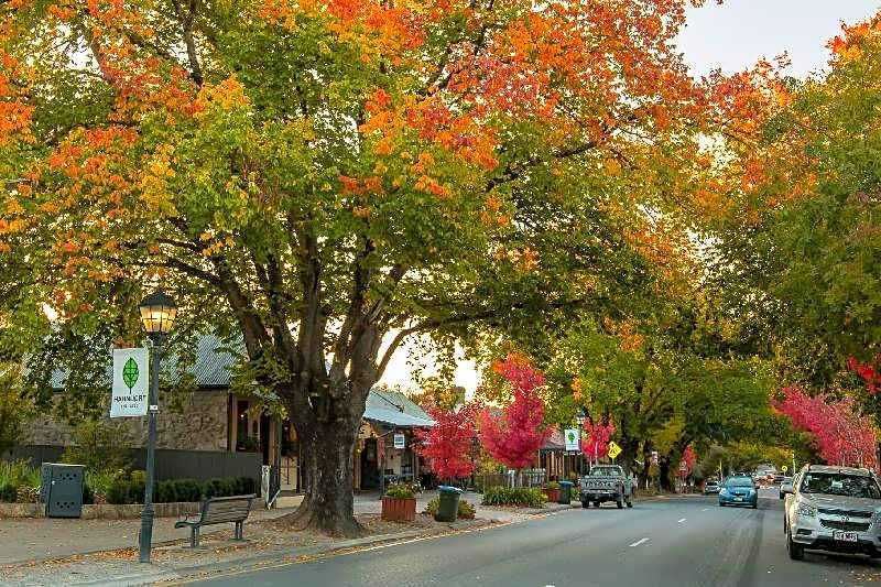 The Manna, Ascend Hotel Collection