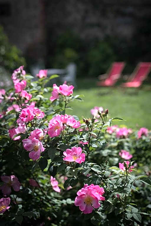 La Canonica Di Nusenna