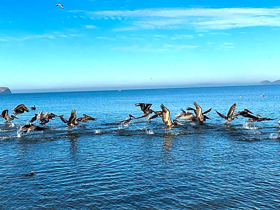 Condominios San Carlos