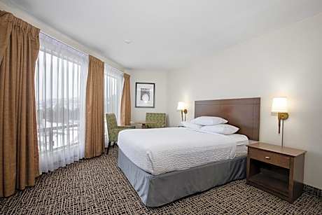 Queen Studio Suite - Non-Smoking