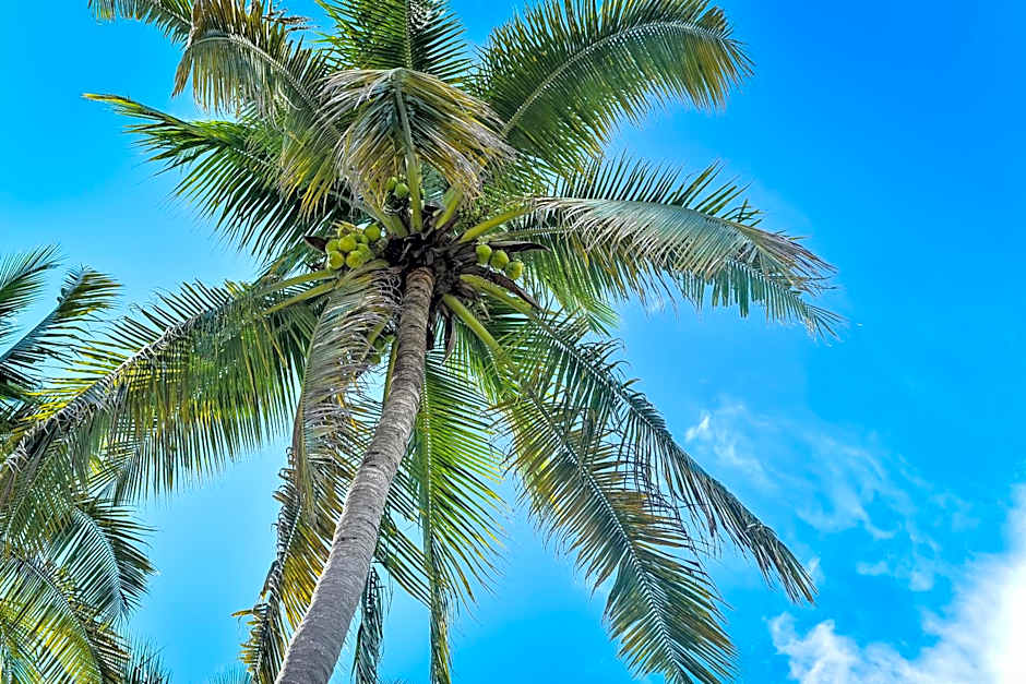 Hosteria Chata Adults Only