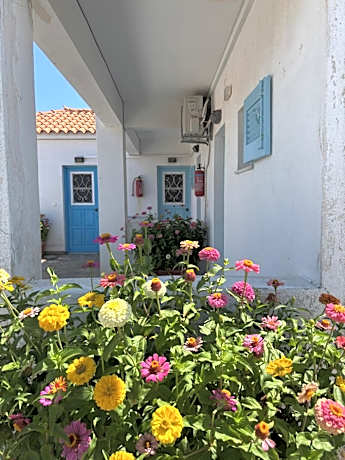 Anthemis Studios
