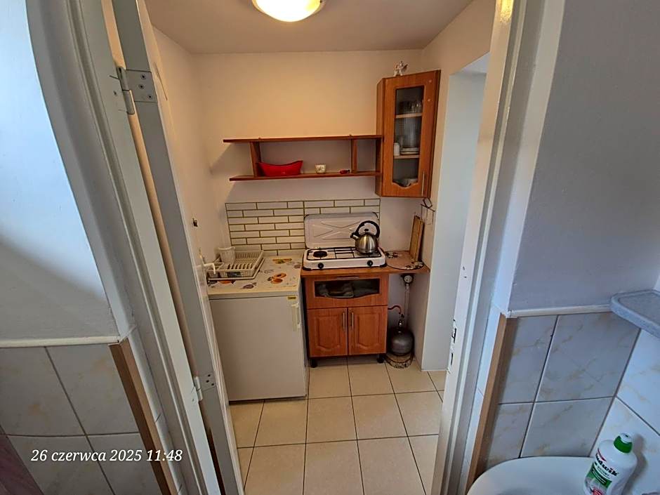 Dom Bursztynek - domek (sad)