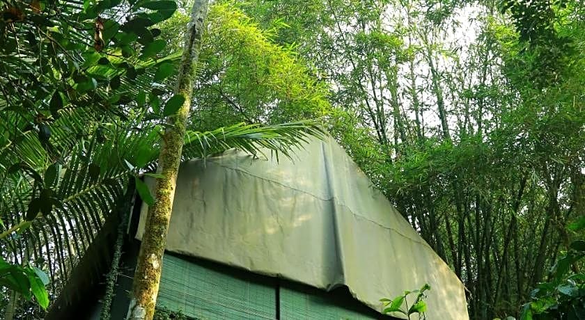 Grassroots Wayanad, Valley-view Tents