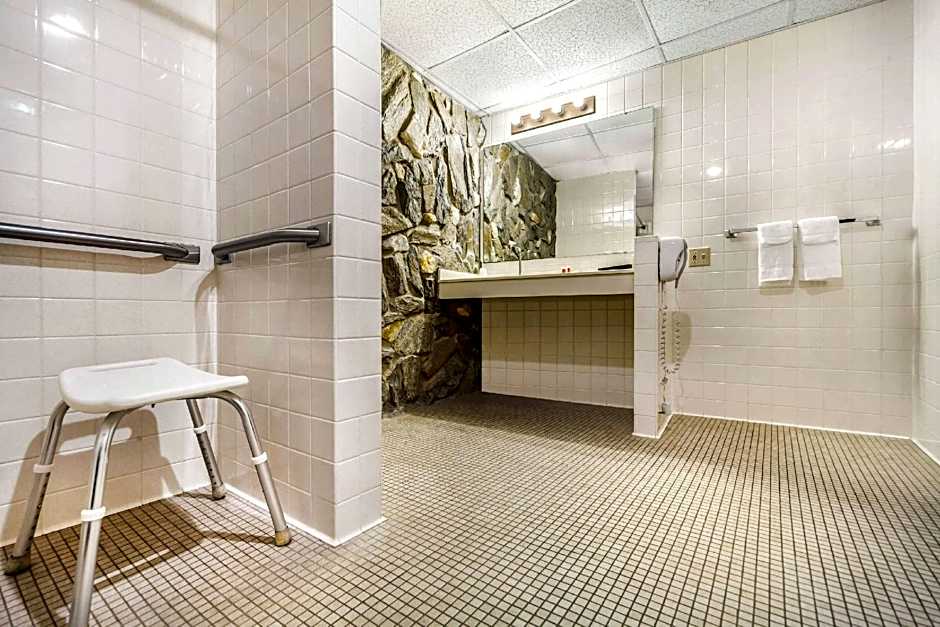 Econo Lodge Inn & Suites Brookings