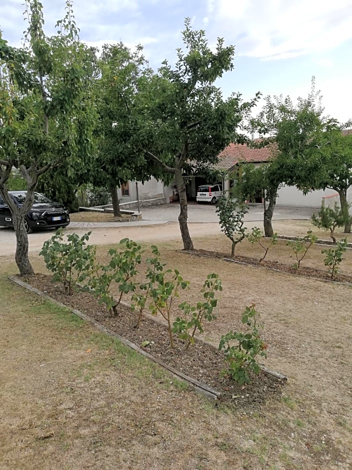 Bed and Breakfast "POGGIO MARANO"