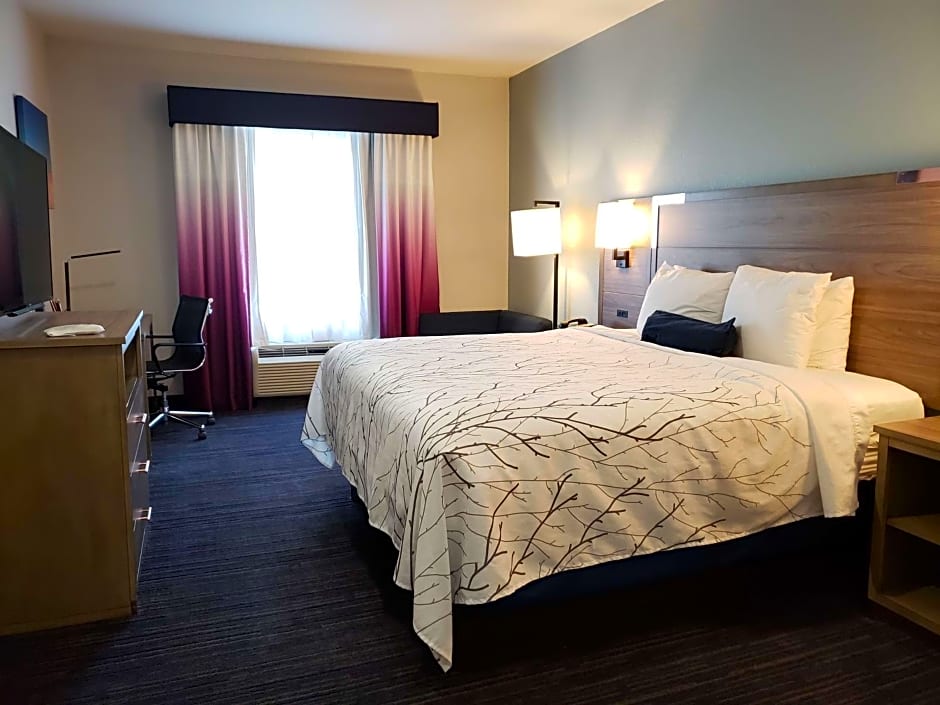 Best Western Plus San Antonio East Inn & Suites