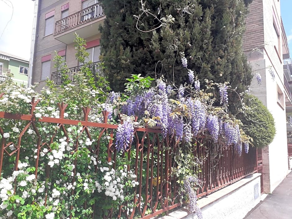 Maison Lavande