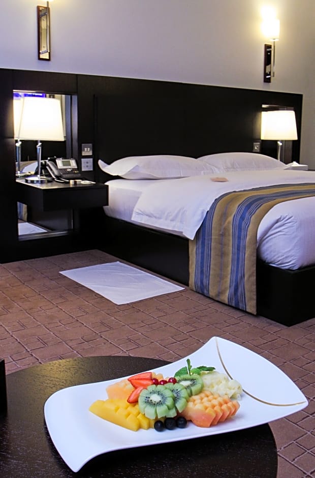 Dubai International Airport Hotel. Rates from AED500.