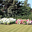 B&B Bloemenweelde