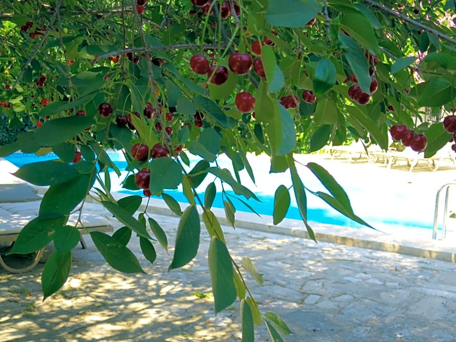 Hotel Kalehan