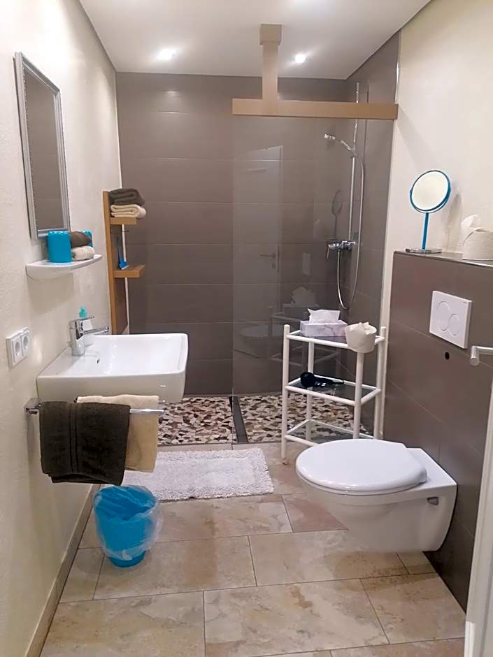 Pension Claudia Zell am See