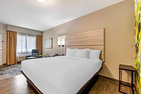 King Room - Non Smoking/Exterior Hall