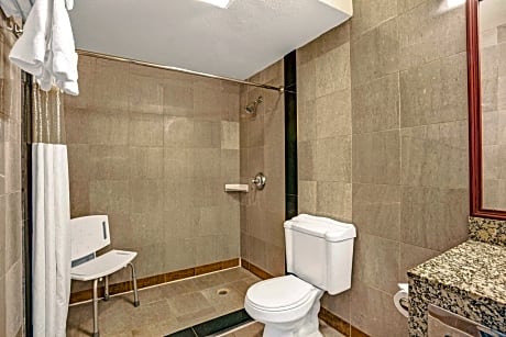 Queen Room with City View and Mobility/Hearing Impaired Access - Non-Smoking