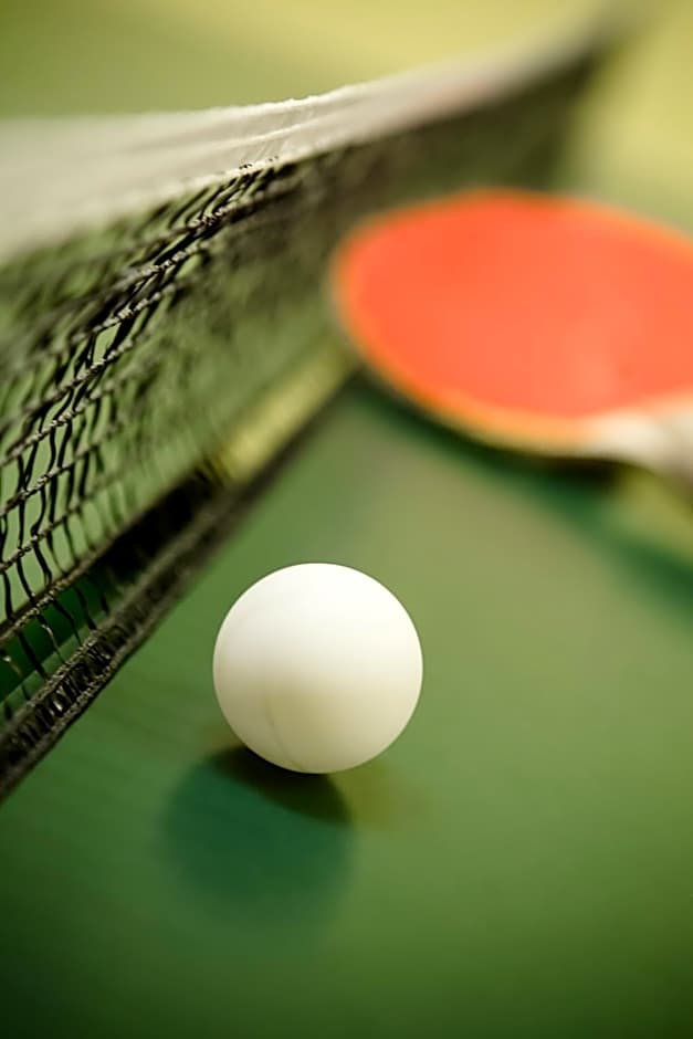 Aparthotel Hubertus Mellau