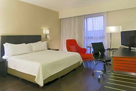 Superior Room, 1 King