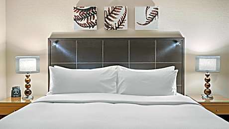Executive Queen Room