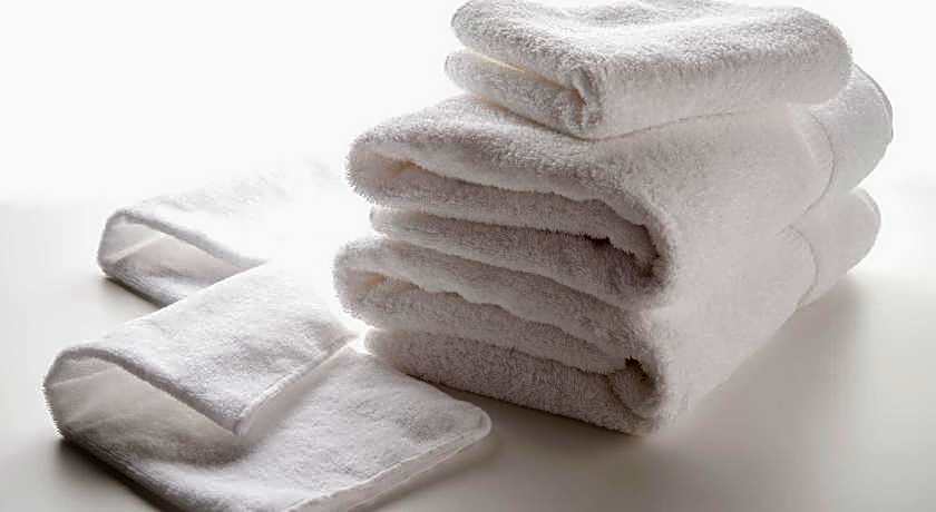 Hotel Villa Fontaine Tokyo-Hamamatsucho