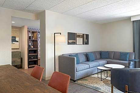 Executive Suite, King, Sofa bed