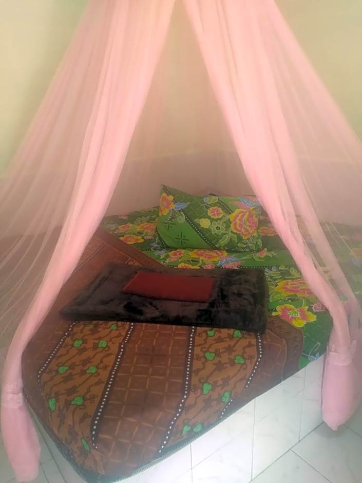 Umiyuki jungle tour only treking with us